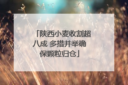 陕西小麦收割超八成 多措并举确保颗粒归仓