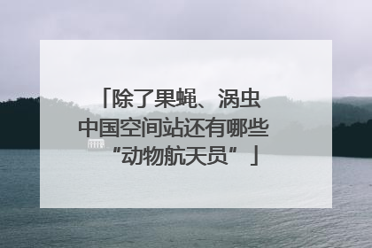 除了果蝇、涡虫 中国空间站还有哪些“动物航天员”