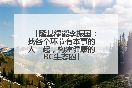 隆基绿能李振国：找各个环节有本事的人一起，构建健康的BC生态圈