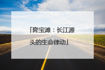 隆宝滩：长江源头的生命律动