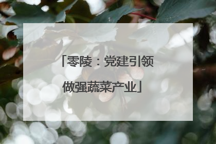 零陵：党建引领 做强蔬菜产业