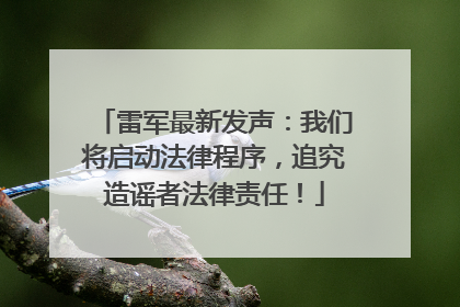 雷军最新发声：我们将启动法律程序，追究造谣者法律责任！