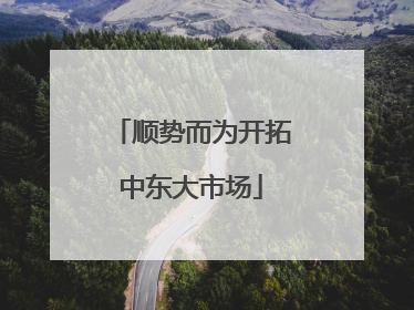 顺势而为开拓中东大市场