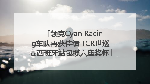 领克Cyan Racing车队再获佳绩 TCR世巡赛西班牙站包揽六座奖杯