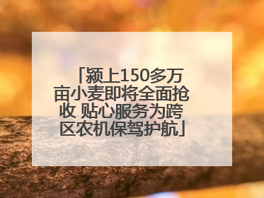 颍上150多万亩小麦即将全面抢收 贴心服务为跨区农机保驾护航