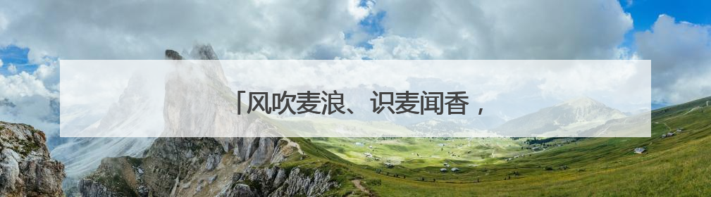 风吹麦浪、识麦闻香，市民打卡金色麦田景观