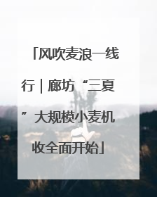 风吹麦浪一线行｜廊坊“三夏”大规模小麦机收全面开始