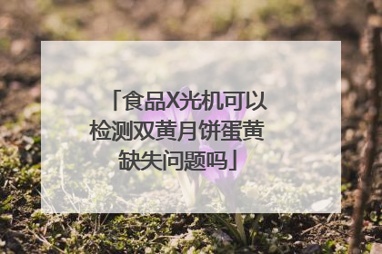 食品X光机可以检测双黄月饼蛋黄缺失问题吗