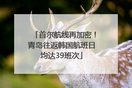 首尔航线再加密！青岛往返韩国航班日均达39班次