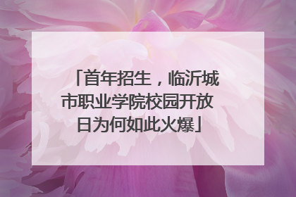 首年招生，临沂城市职业学院校园开放日为何如此火爆