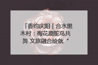 香约庆阳｜合水黑木村：梅花鹿鸵鸟共舞 文旅融合绘就“诗与远方”