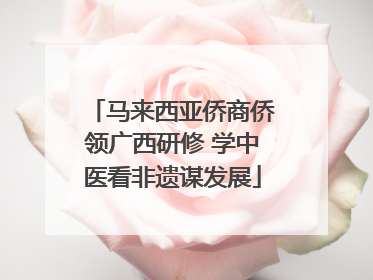 马来西亚侨商侨领广西研修 学中医看非遗谋发展