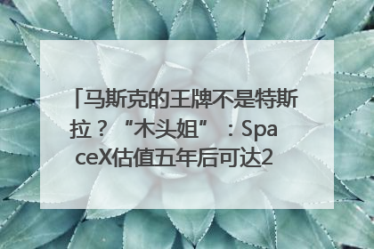 马斯克的王牌不是特斯拉？“木头姐”：SpaceX估值五年后可达2.5万亿美元！