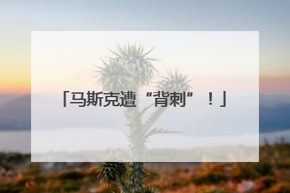 马斯克遭“背刺”！