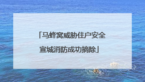 马蜂窝威胁住户安全 宣城消防成功摘除