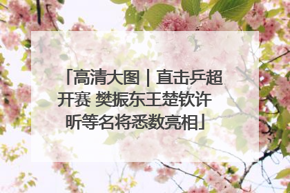 高清大图｜直击乒超开赛 樊振东王楚钦许昕等名将悉数亮相
