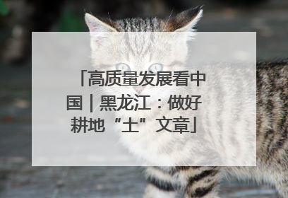 高质量发展看中国｜黑龙江：做好耕地“土”文章