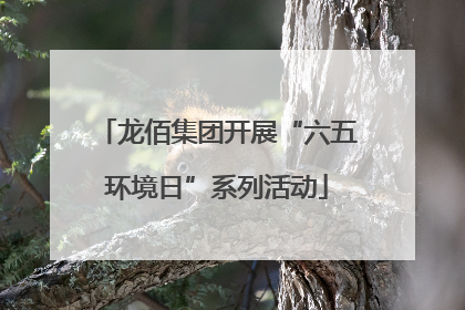 龙佰集团开展“六五环境日”系列活动
