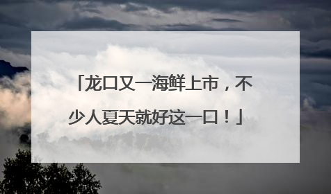 龙口又一海鲜上市，不少人夏天就好这一口！