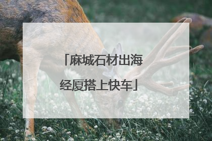 麻城石材出海 经厦搭上快车