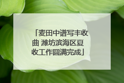 麦田中谱写丰收曲 潍坊滨海区夏收工作圆满完成