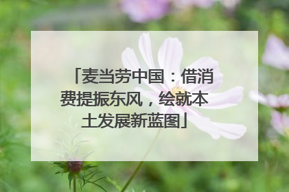 麦当劳中国：借消费提振东风，绘就本土发展新蓝图