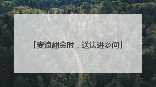 麦浪翻金时，送法进乡间