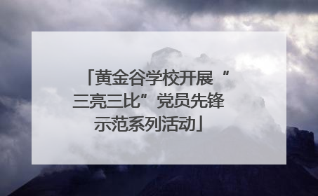 黄金谷学校开展“三亮三比”党员先锋示范系列活动