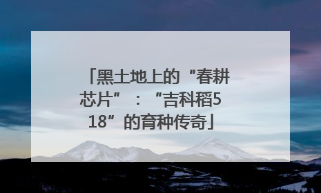 黑土地上的“春耕芯片”：“吉科稻518”的育种传奇