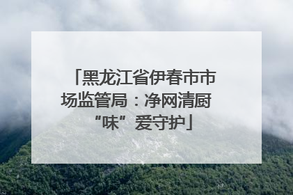 黑龙江省伊春市市场监管局：净网清厨 “味”爱守护