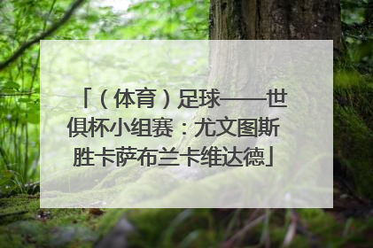（体育）足球——世俱杯小组赛：尤文图斯胜卡萨布兰卡维达德
