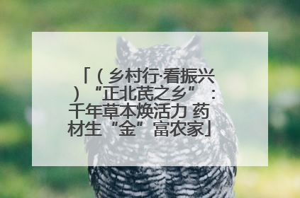 （乡村行·看振兴）“正北芪之乡”：千年草本焕活力 药材生“金”富农家