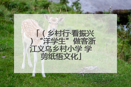 （乡村行·看振兴）“洋学生”做客浙江义乌乡村小学 学剪纸悟文化