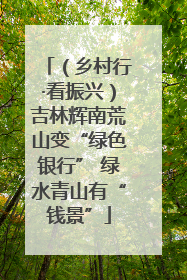 （乡村行·看振兴）吉林辉南荒山变“绿色银行” 绿水青山有“钱景”