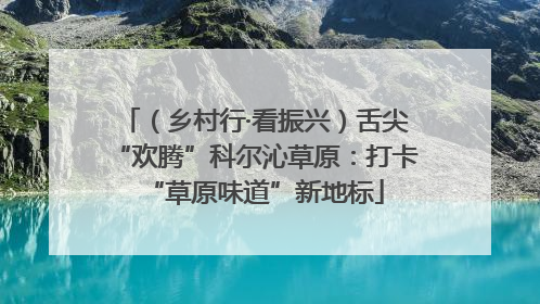 （乡村行·看振兴）舌尖“欢腾”科尔沁草原：打卡“草原味道”新地标