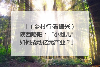 （乡村行·看振兴）陕西略阳：“小瓢儿”如何撬动亿元产业？