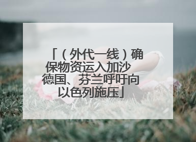 （外代一线）确保物资运入加沙 德国、芬兰呼吁向以色列施压