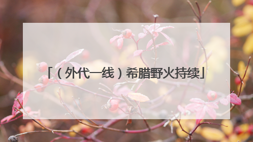 （外代一线）希腊野火持续