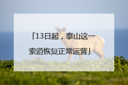 13日起，泰山这一索道恢复正常运营