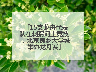15支龙舟代表队在刺猬河上竞技，北京良乡大学城举办龙舟赛