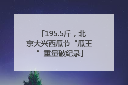 195.5斤，北京大兴西瓜节“瓜王”重量破纪录