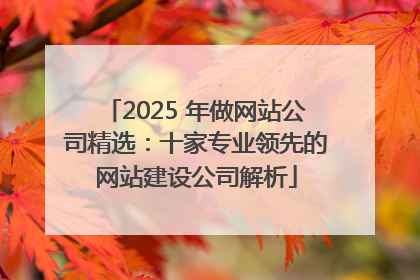2025 年做网站公司精选：十家专业领先的网站建设公司解析