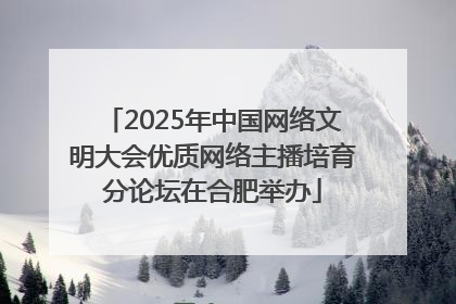 2025年中国网络文明大会优质网络主播培育分论坛在合肥举办