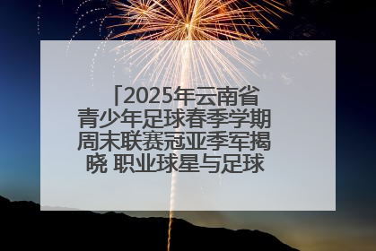2025年云南省青少年足球春季学期周末联赛冠亚季军揭晓 职业球星与足球小将共享荣耀时刻