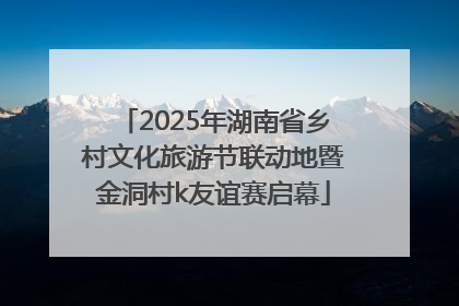 2025年湖南省乡村文化旅游节联动地暨金洞村k友谊赛启幕