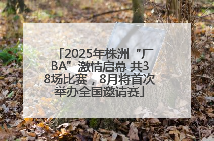 2025年株洲“厂BA”激情启幕 共38场比赛，8月将首次举办全国邀请赛