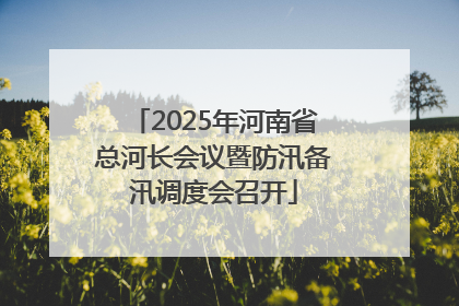 2025年河南省总河长会议暨防汛备汛调度会召开
