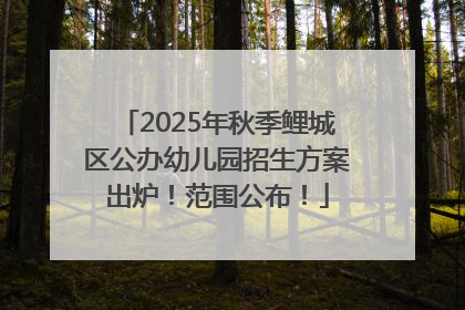 2025年秋季鲤城区公办幼儿园招生方案出炉！范围公布！