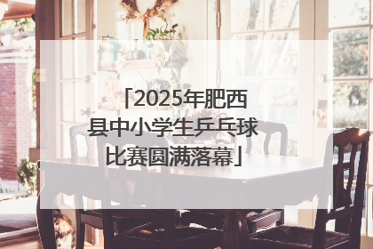 2025年肥西县中小学生乒乓球比赛圆满落幕