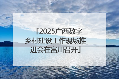 2025广西数字乡村建设工作现场推进会在富川召开